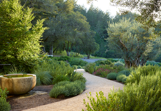 Spring Garden Ideas with Mediterranean Garden Inspiration