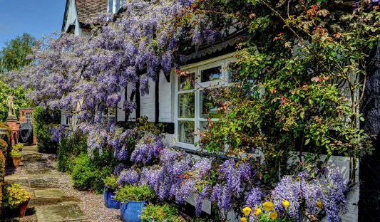 Spring Garden Ideas with Classic English Garden Style
